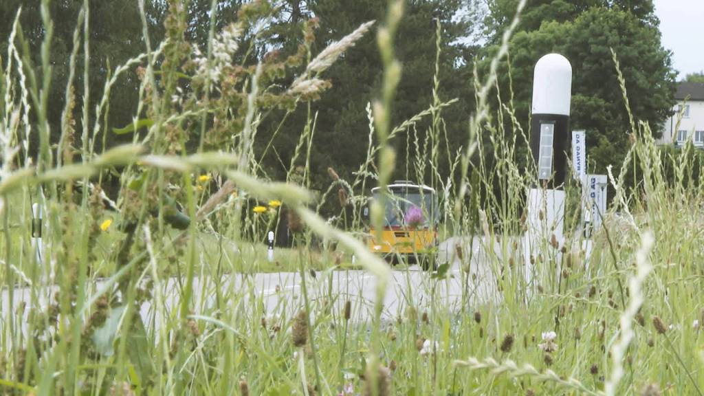 Umbau: Dieses alte Saurer-Postauto ist jetzt ein Partybus