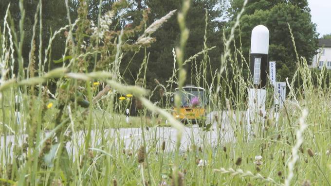 Umbau: Dieses alte Saurer-Postauto ist jetzt ein Partybus