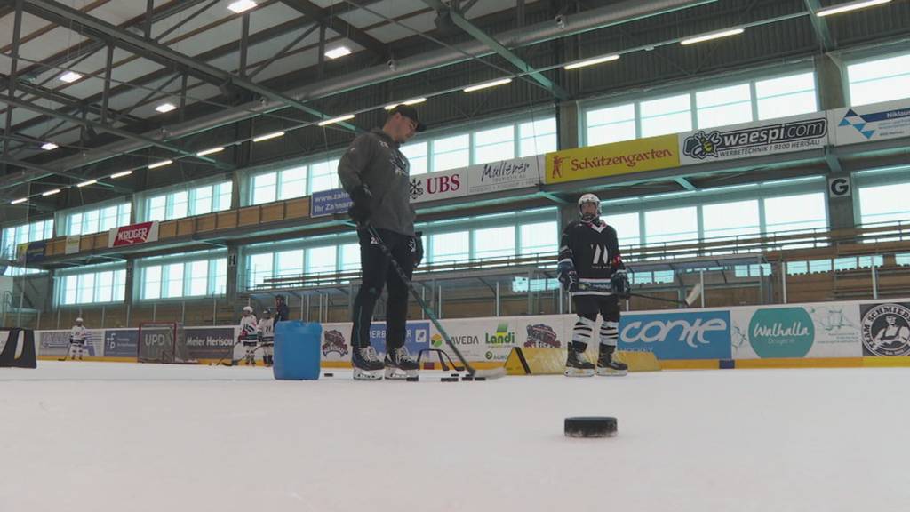Weltstar hautnah: NHL-Crack Timo Meier trainiert in Herisau den Nachwuchs