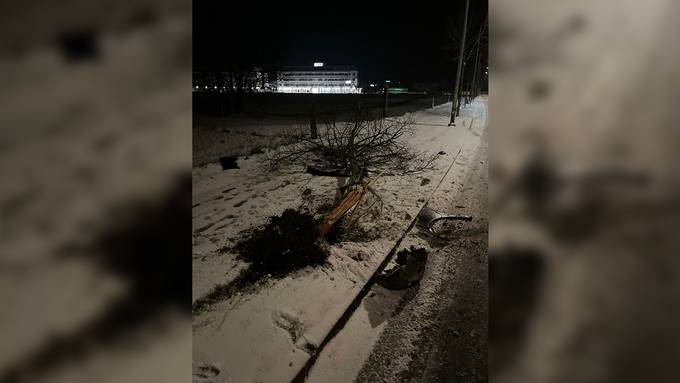 Auto prallt in Solothurn in einen Baum – Fahrerflucht im schwarzen BMW