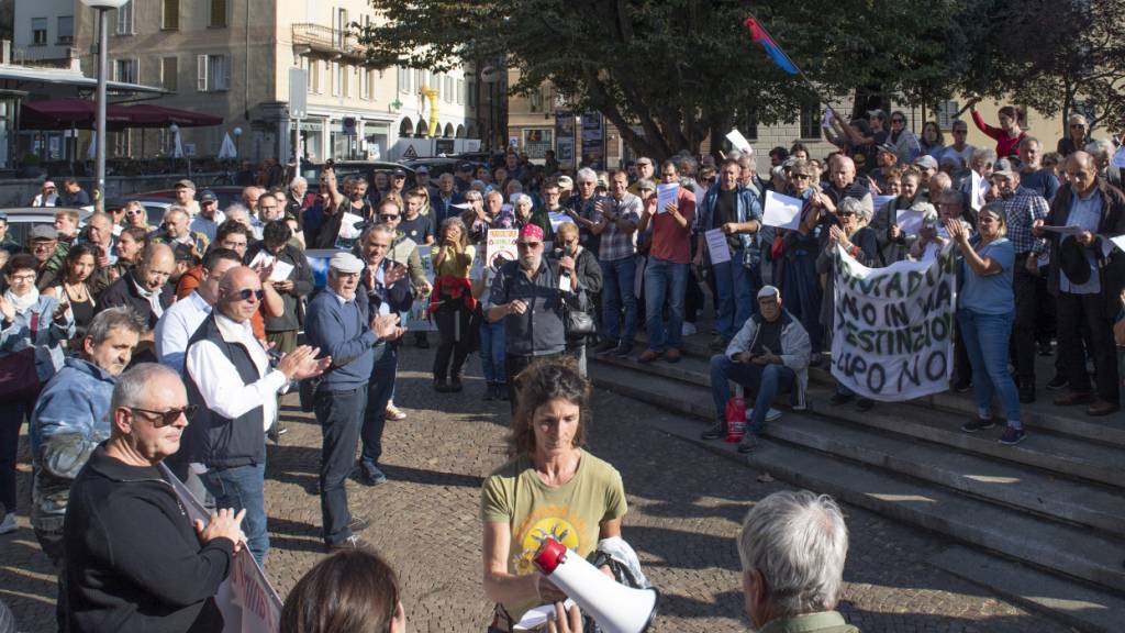 Die Demonstranten in Bellinzona protestierten gegen die Aufgabe der Alpwirtschaft wegen der Wölfe.