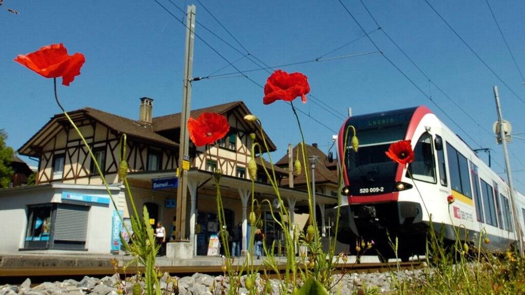 Regioverkehr im Seetal: SBB vergibt Auftrag für 11 neue Züge