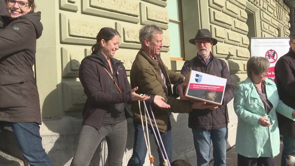Erstes Ziel erreicht: Über 137`000 Unterschriften für «Feuerwerksinitiative» eingereicht