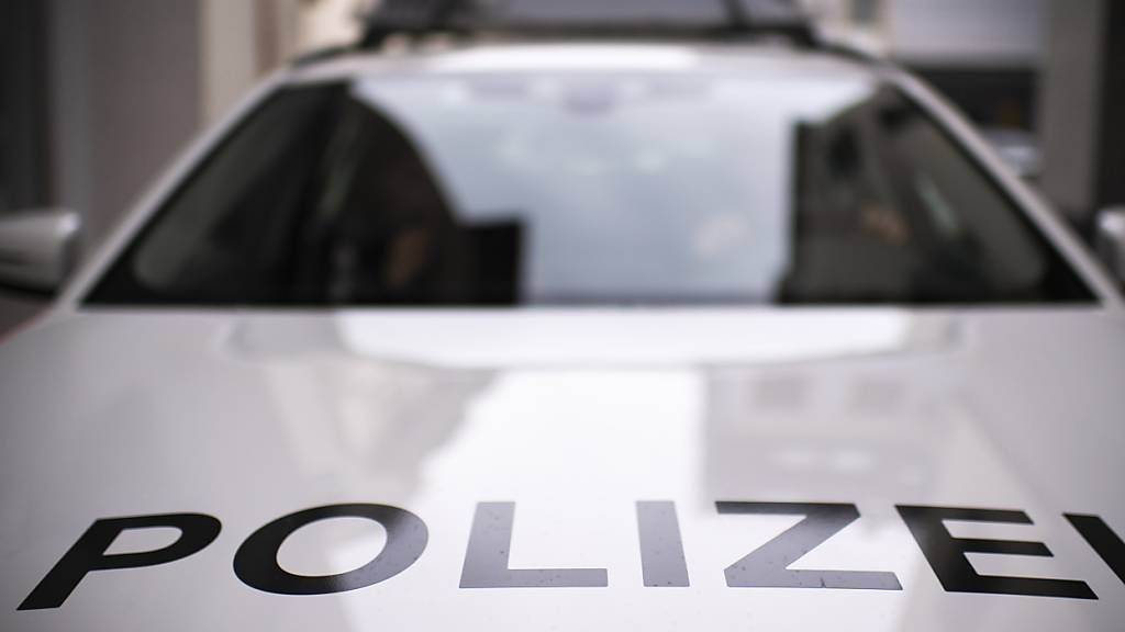 Hund wird in St. Gallen von Auto überfahren und stirbt