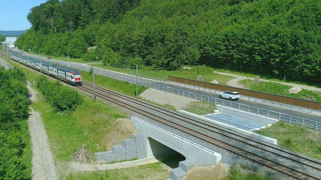 Die neue Wildtierunterführung bei Brugg AG ermöglicht den Wildtieren, die SBB-Gleise und die Kantonsstrasse sicher zu unterqueren.