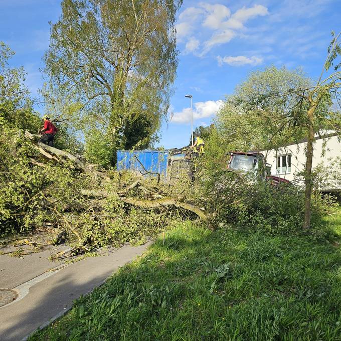 Sturm verursacht Schäden im Aargau: 30 Unwetter-Meldungen in 24 Stunden