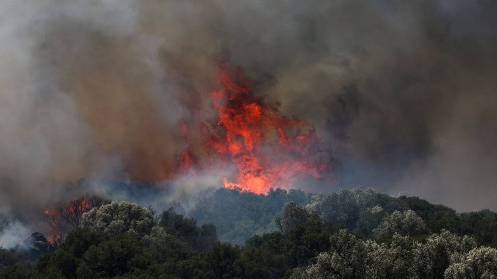 Ein Feuer wütet in einem Waldgebiet in Cesme in der Nähe von Izmir. Foto: Cengiz Malgir/DIA Photo/AP/dpa