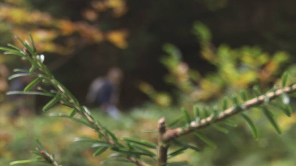 Vorschau «Unterwegs»