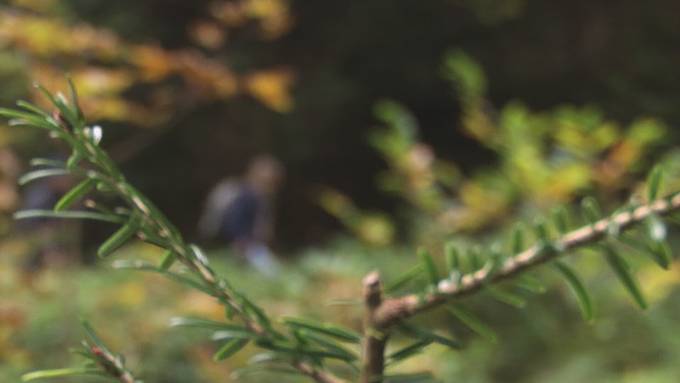 Vorschau «Unterwegs»