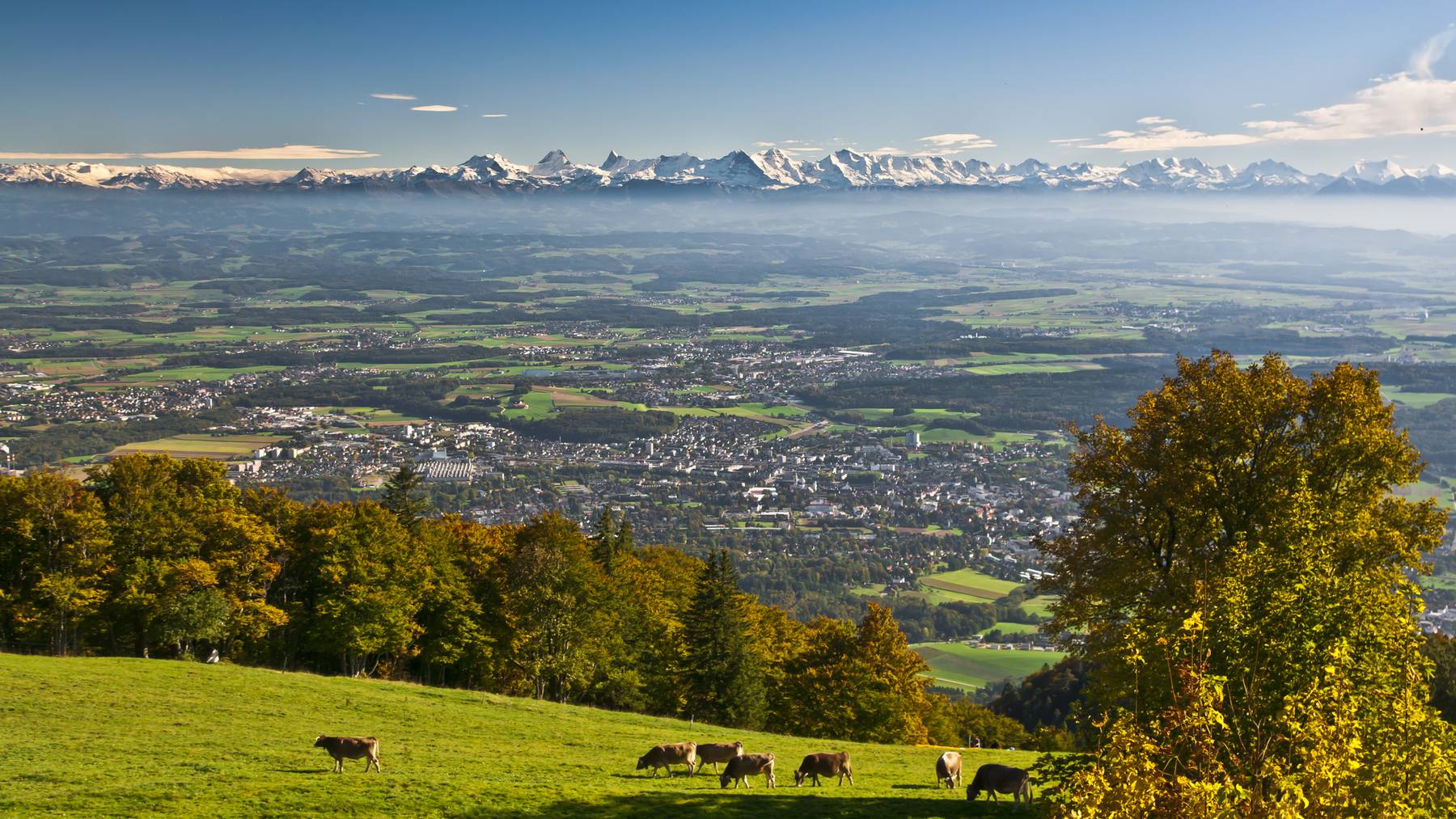Mittelland_Kanton Solothurn_Landschaft
