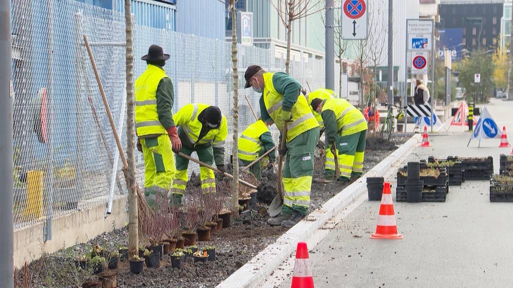 Stadt Zürich startet Hitzebekämpfungsprojekt