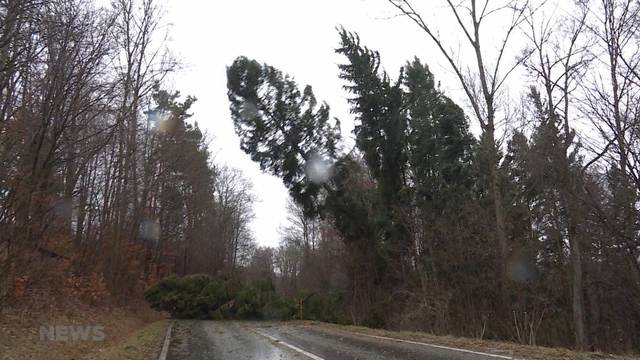 Positive Bilanz nach Sturm Burglind