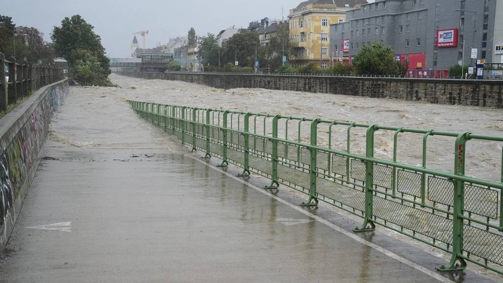 wien hochwasser