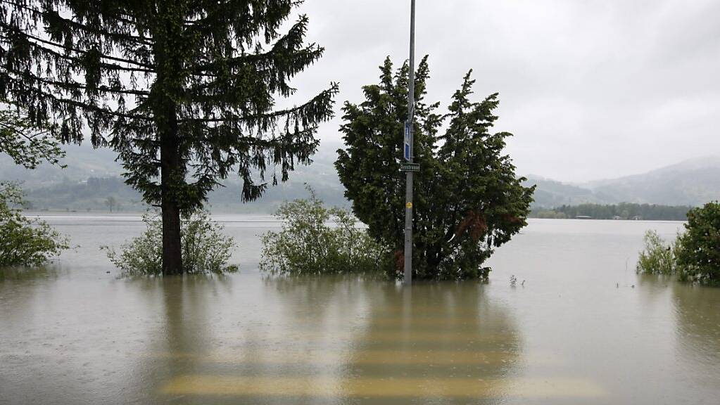 Damit Siedlungsgebiete in der Stadt Luzern nicht überschwemmt werden, will die Regierung mehrere Rückhaltebecken bauen - eines von diesen beim Neubad stösst aber auf Widerstand. (Symbolbild)