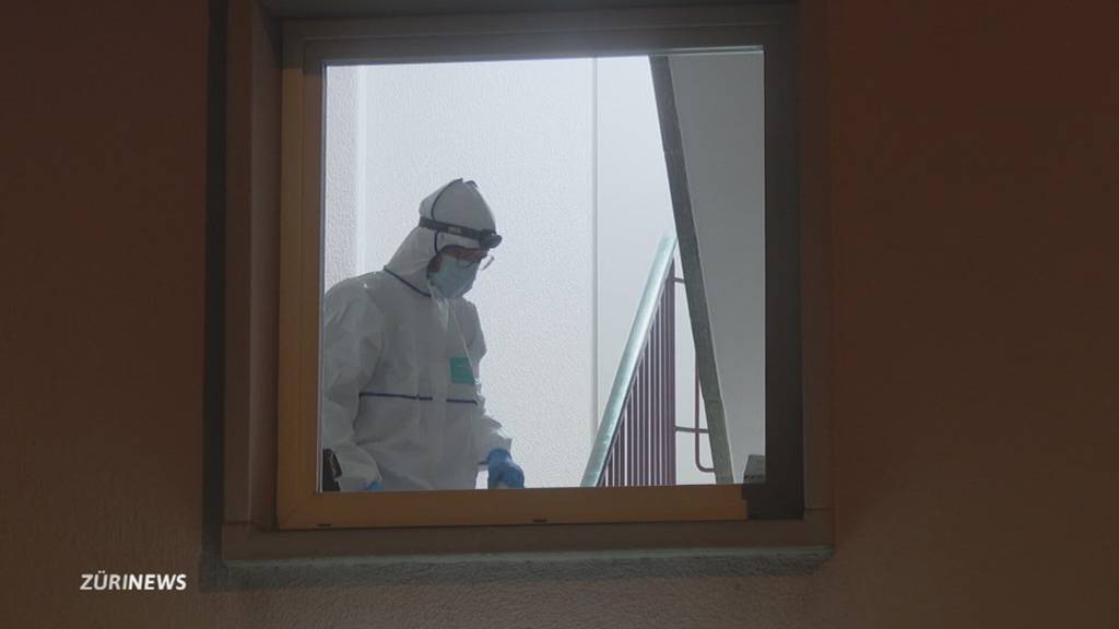 Tote Frau nach Streit in Zürcher Wohnung – Hintergründe unklar