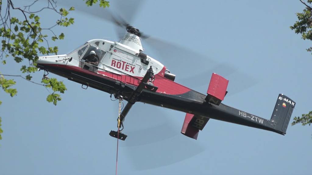 Aufforstung extrem: Ein Spezialhelikopter hilft in Altstätten