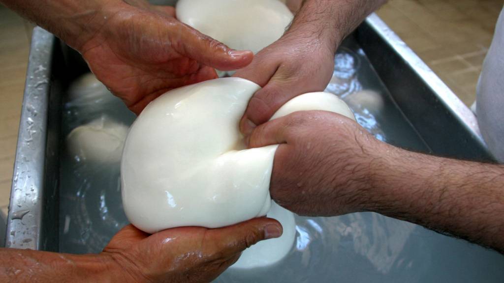 ARCHIV - Die Herstellung von Büffelmozzarella in einer Molkerei in Caserta bei Neapel, Süditalien. Foto: Franco Castano'/AP/dpa