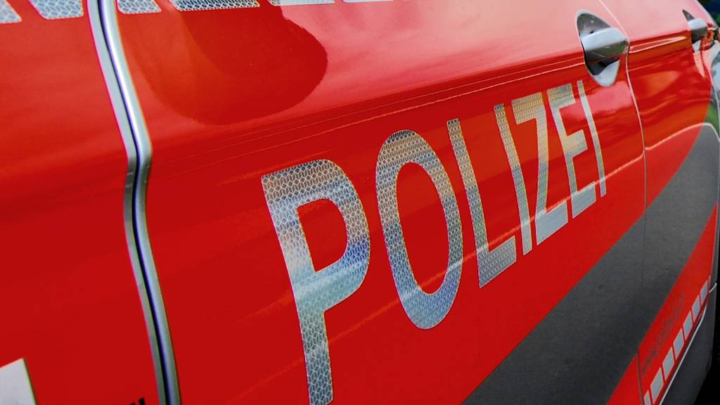 Polizeiauto Luzerner Polizei Unfall Symbolbild