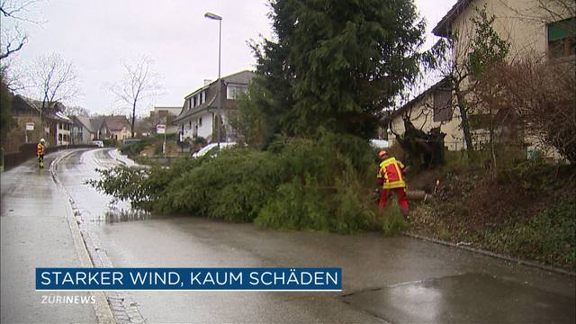 Nächster Wintersturm fegt über die Schweiz