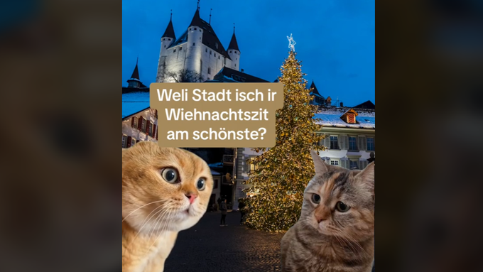 «Nid mau e richtige Wiehnachtsboum»: Thun frontet Bern auf Tiktok