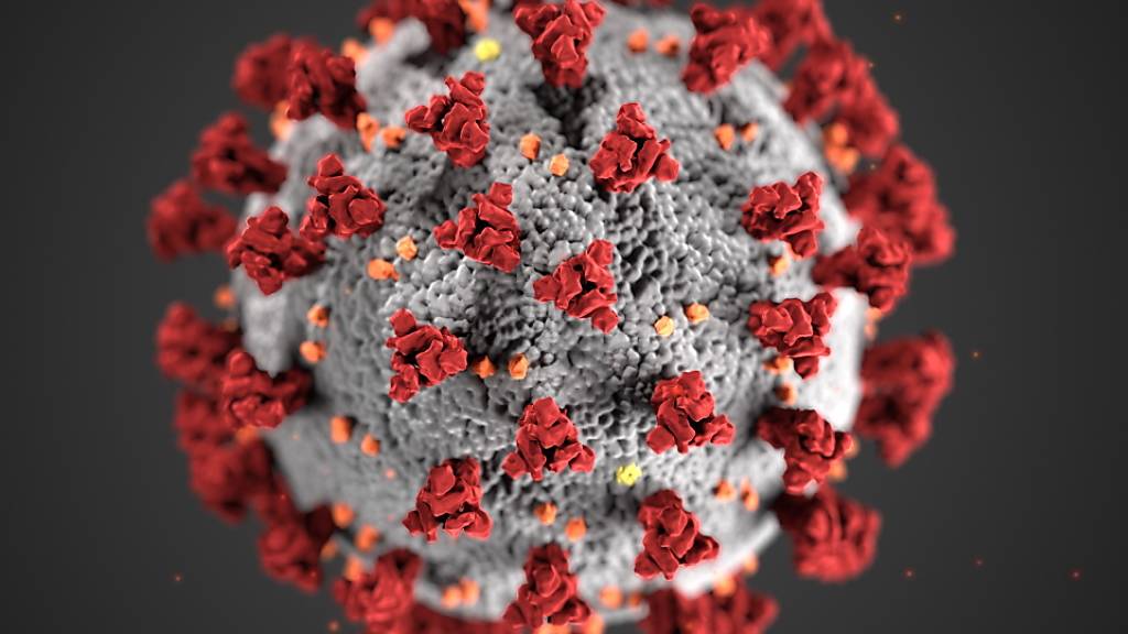 Forderte in der Schweiz bereits 19 Todesopfer: Das Sars-Cov-2-Virus verursacht die Lungenkrankheit Covid-19. (Archivbild)