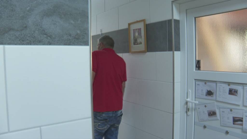 Katzenschwemme: Büsi- und Papageienhof Mogelsberg platzt aus allen Nähten