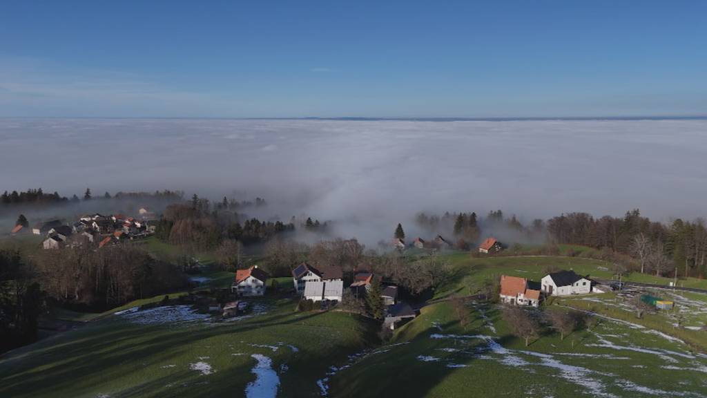 Autobahnzubringer bei Rorschach: Abstimmungskampf geht in die heisse Phase