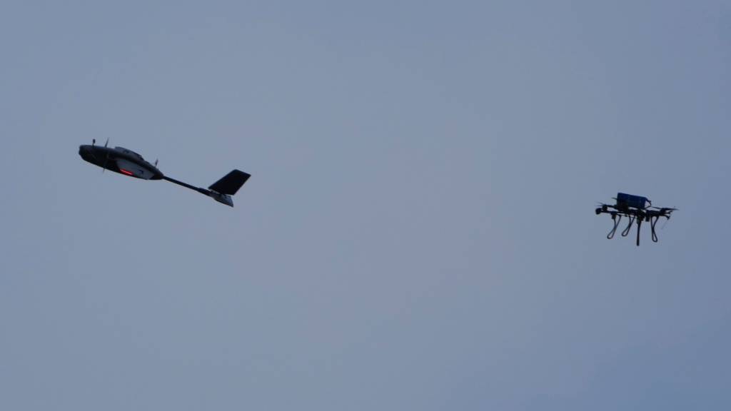 ARCHIV - Ein Jäger-Drohne fängt eine Zieldrohne während einer Übung in der Yatagan-Schule für unbemannte Luftfahrtsysteme in der Region Kiew. Foto: Efrem Lukatsky/AP/dpa