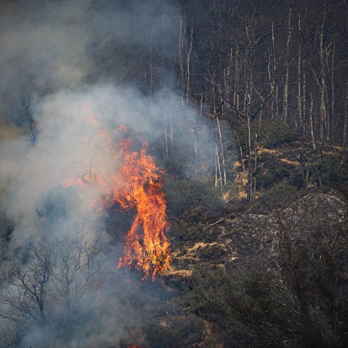Schweizweit herrscht grosse Waldbrandgefahr 