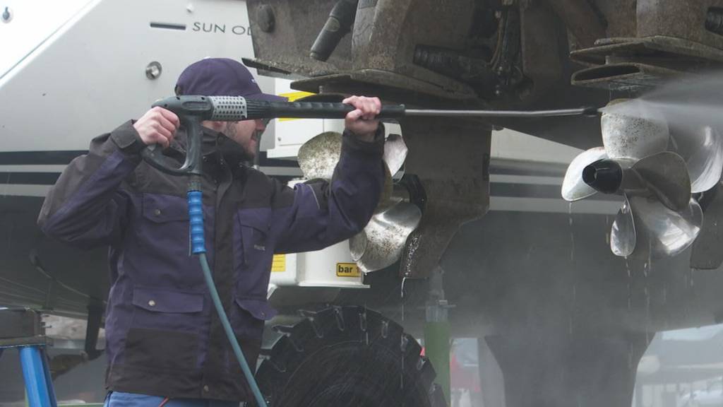 Beruf mit Zukunft? Romanshorner Werft fordert Lehre für Marinemechaniker