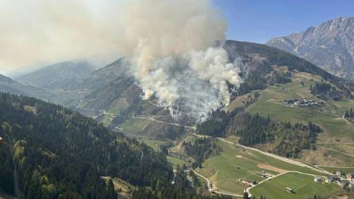 Waldbrand in Österreich - 110 Hektar stehen in Flammen