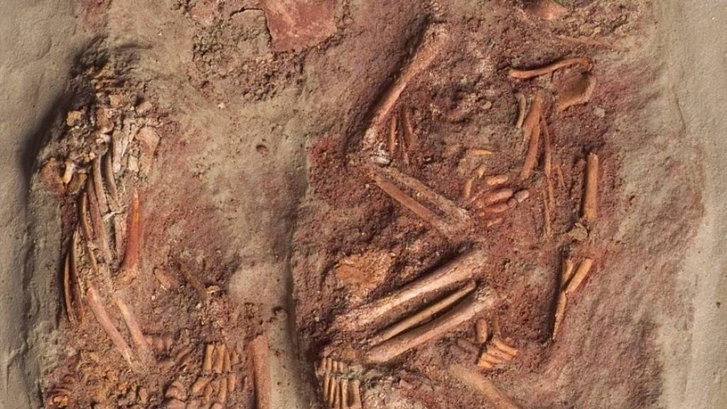 Die Kremser Steinzeit-Zwillinge – ein einzigartiger Fund, da sonst keine Zeugnisse von Säuglingsbestattungen aus der Zeit des frühen Homo sapiens existieren. Dank dem Umstand, dass die sterblichen Überreste mit einer Mammutschulter zugedeckt waren, gab es erstaunlich gutes Genmaterial.