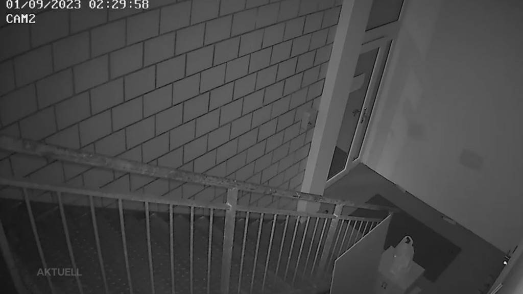 Skurriler Einbruch: Unbekannte lassen in Würenlingen nur ein Paar gebrauchte Handschuhe mitgehen
