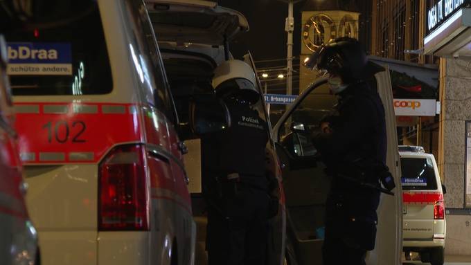 Stadt Zürich: Polizisten mit Feuerwerk beschossen