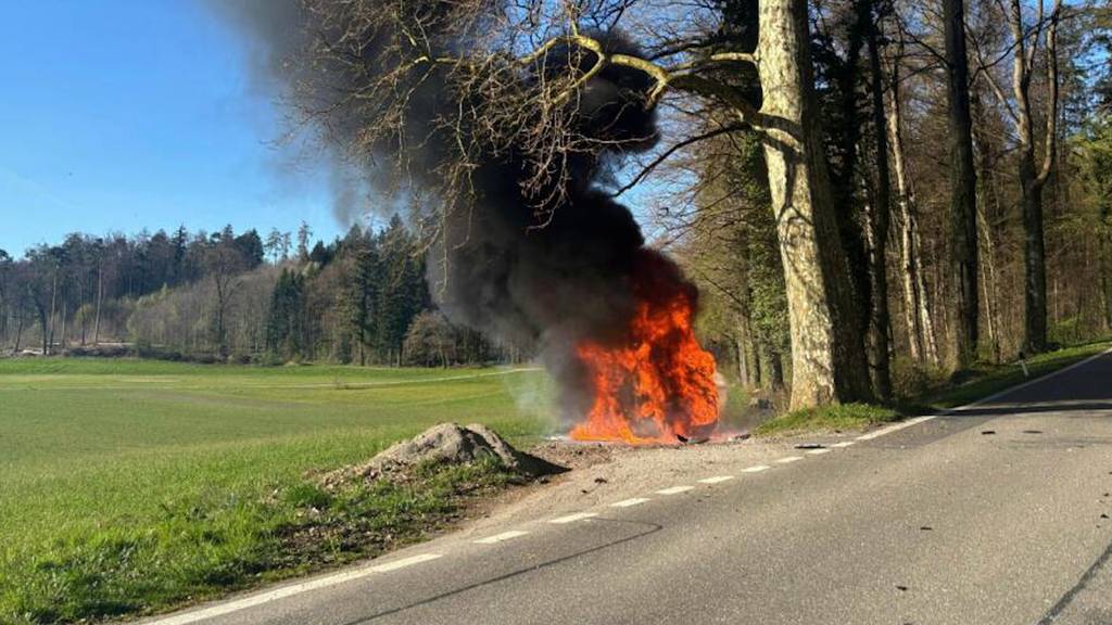 31-jähriger Autofahrer bei Kollision mit Baum in Muri AG verstorben