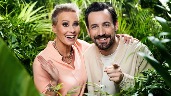 Neue Staffel schon im Sommer: RTL plant Dschungelcamp mit Allstars