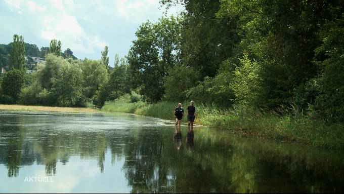 Wege beim Hallwiler- und Sempachersee noch immer überschwemmt