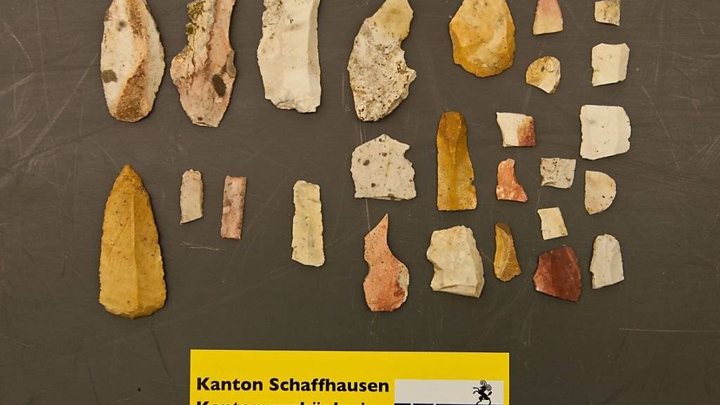 Feuerstein-Objekte aus der Altsteinzeit: Der Wintersturm «Burglind» hat zur Entdeckung der Funde in einem Schaffhauser Wald beigetragen.