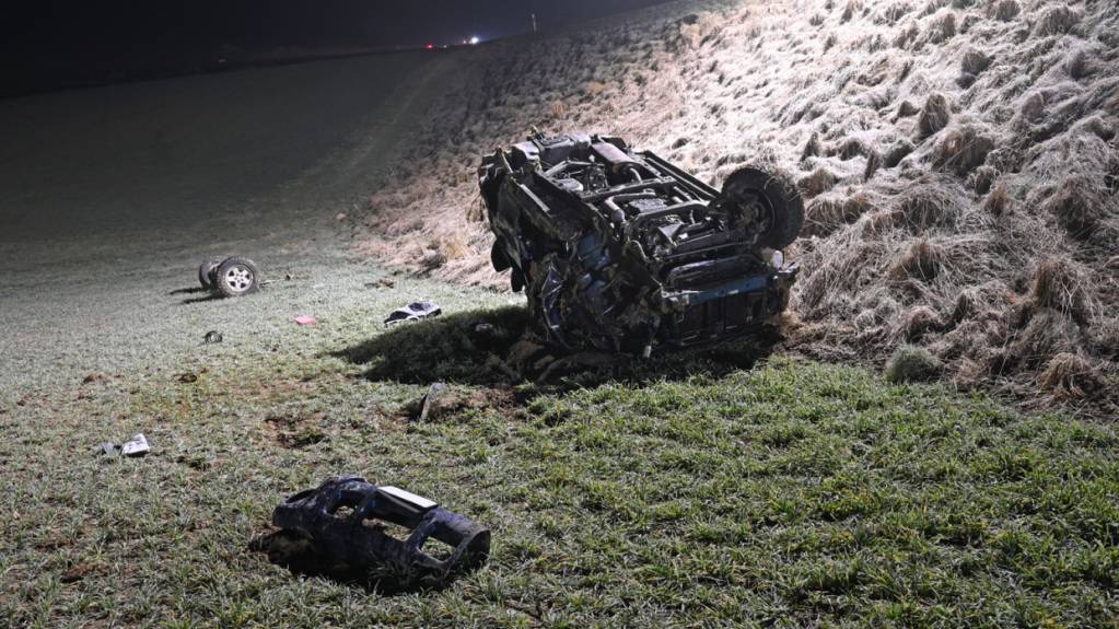 In Roggliswil LU verlor am Mittwochabend ein Autofahrer auf der Pfaffnauerstrasse die Kontrolle über sein Fahrzeug.