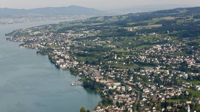 Gefrässiger Pilz bedroht zahlreiche Bäume rund um den Zürichsee
