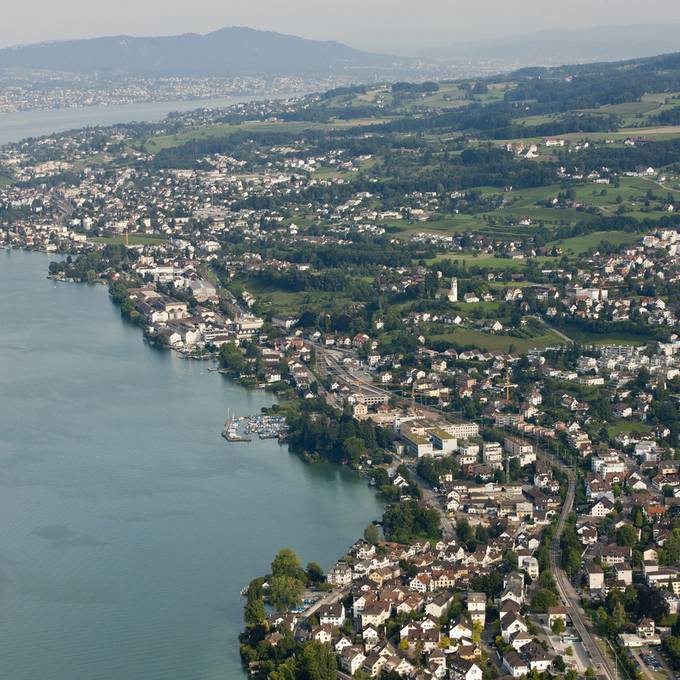 Gefrässiger Pilz bedroht zahlreiche Bäume rund um den Zürichsee