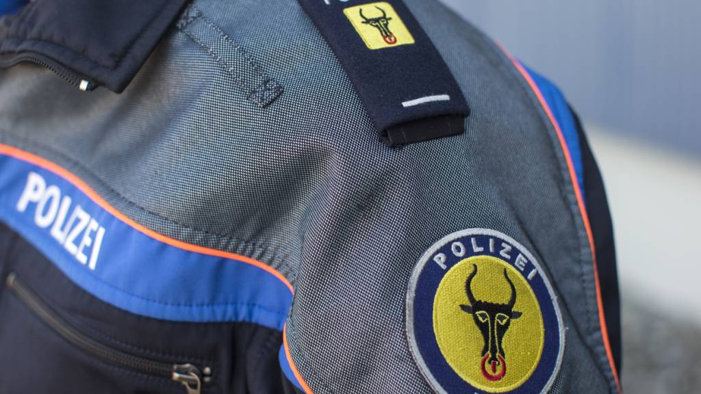 Ein Urner Kantonspolizist wurde bei einem Einsatz am Neujahrstag verletzt. (Archivbild)