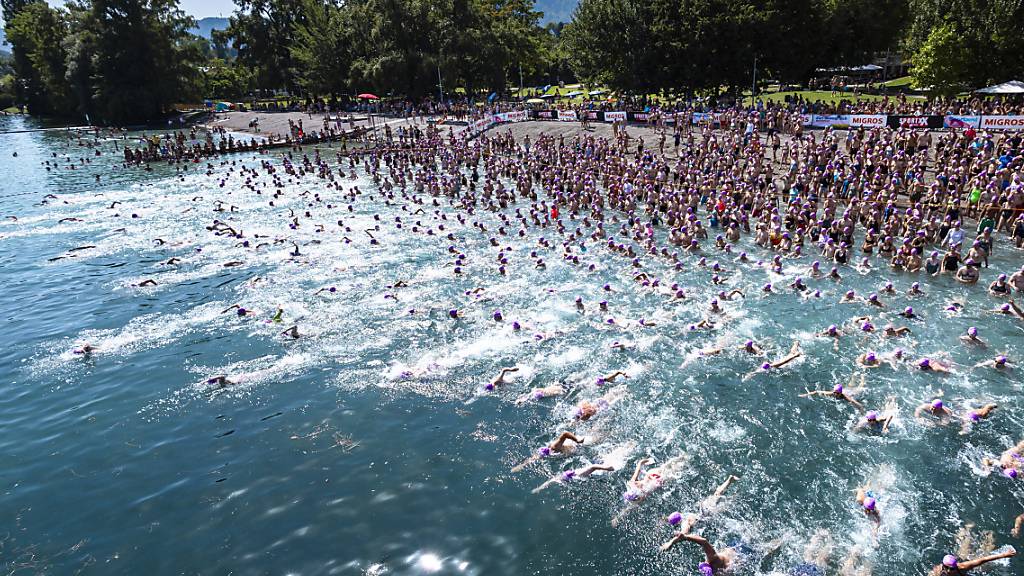 8224 Schwimmerinnen und Schwimmer nahmen an der Stadtzürcher Seeüberquerung teil. In diesem Jahr trugen alle violette Badekappen.