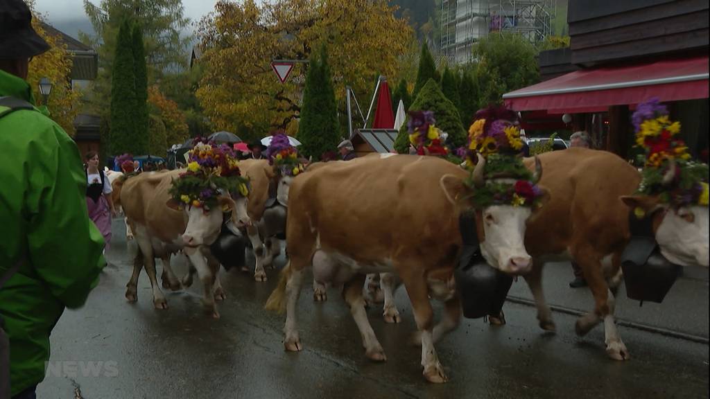 Heute findet das Älplerfest in Lenk statt