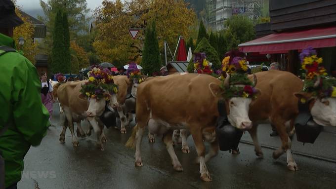 Immer weniger Landwirte am Älplerfest an der Lenk