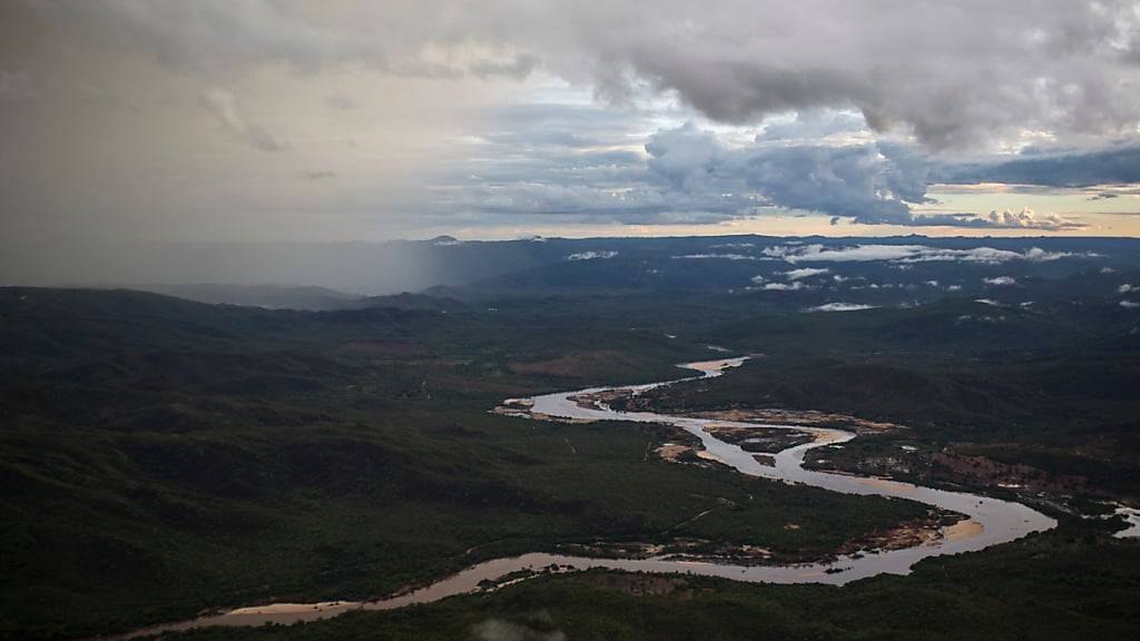 Mit Zustimmung der Behörden entnahmen Forschende im brasilianischen Bundesstaat Minas Gerais das Ei eines Blauaugentäubchens. (Archivbild)