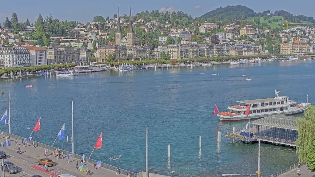 Viel Verkehr auf dem Vierwaldstättersee – Geduld ist gefragt