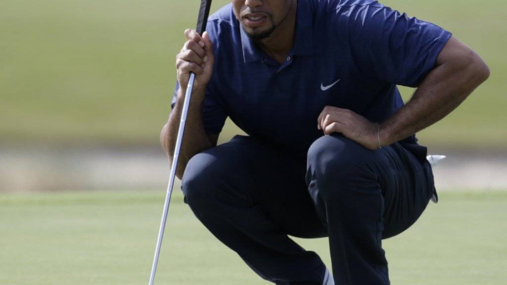 Tiger Woods voller Konzentration auf dem Green