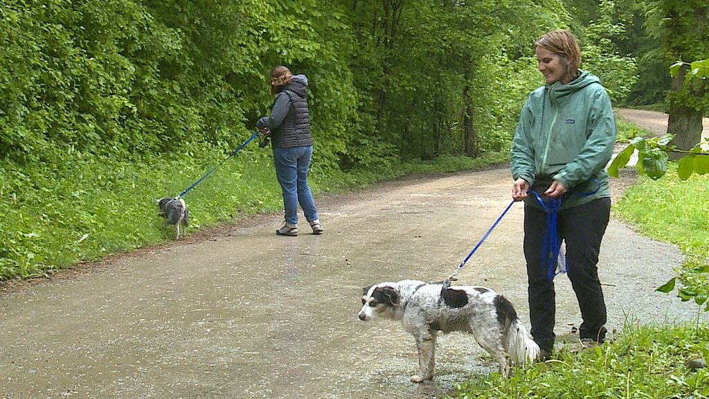 Spaziergang Knigge