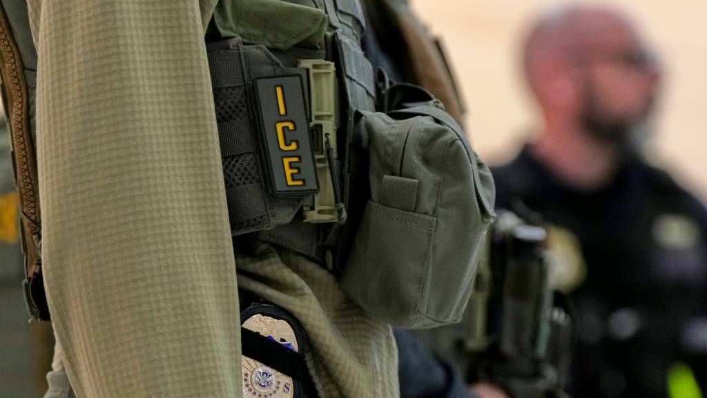 ARCHIV - Bundesbeamte der Einwanderungsbehörde sind am Newark Liberty International Airport im Einsatz. Foto: Angelina Katsanis/AP/dpa